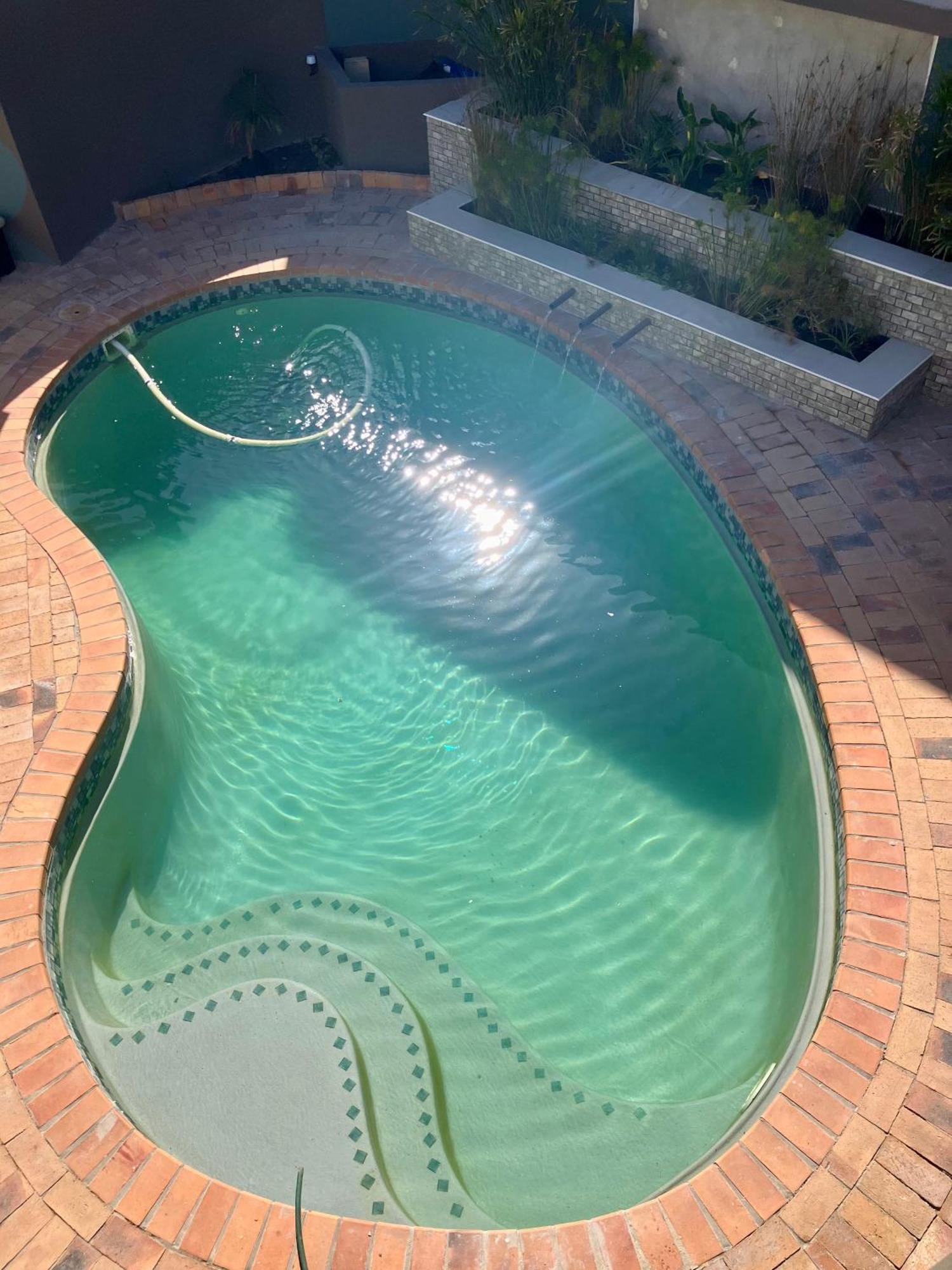 קייפטאון Penguins Cove Coastal Sanctuary Studio Apartment-Bloubergstrand מראה חיצוני תמונה